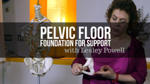 < Pelvic Floor: Foundation for Support