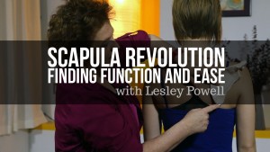 < Scapula Revolution