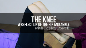 < The Knee: A Reflection of the Hip and Ankle