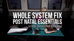 < Whole System Fix: Post Natal Essentials