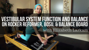 < Vestibular System Function & Balance