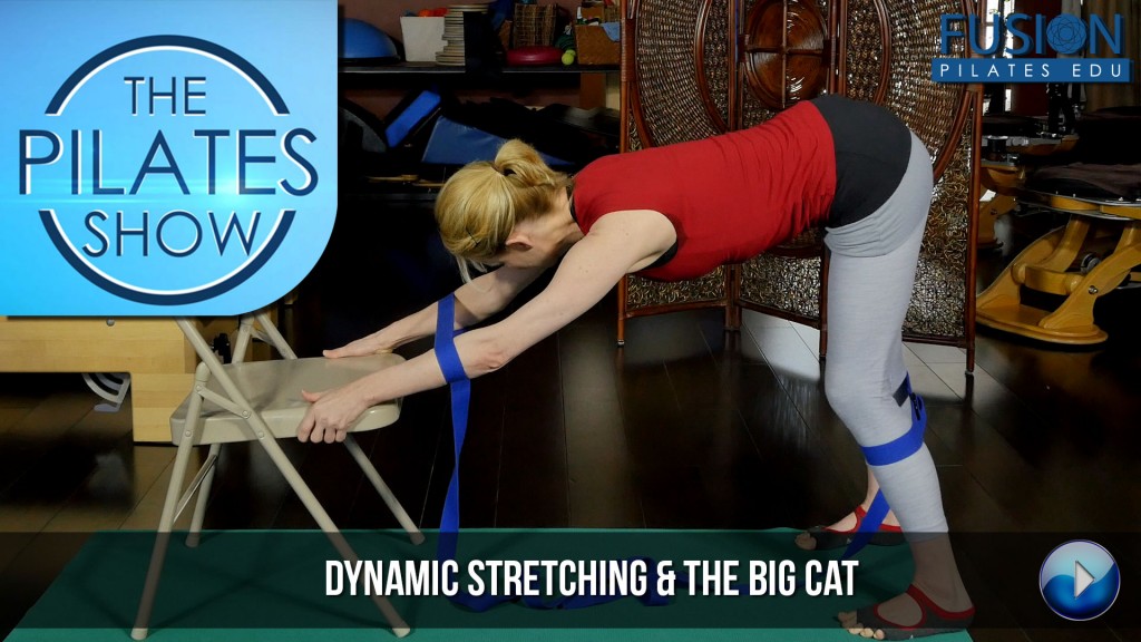 The Pilates Show! – Dynamic Stretching & the Big Cat Stretch