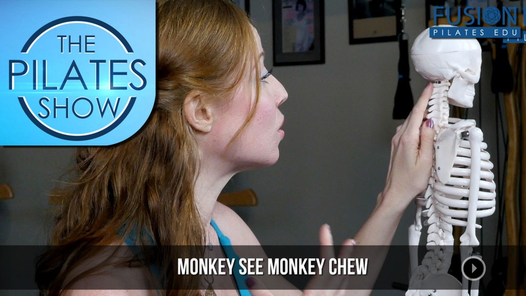 The Pilates Show! – Monkey See, Monkey Chew