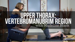 < Upper Thorax: Vertebromanubrial Region