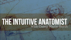 < The Intuitive Anatomist