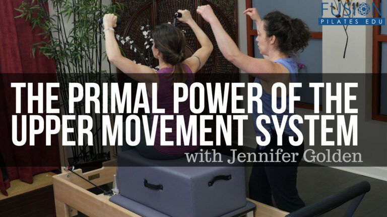 The Primal Power of the Upper Movement System