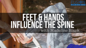 <  Feet & Hands Influence the Spine