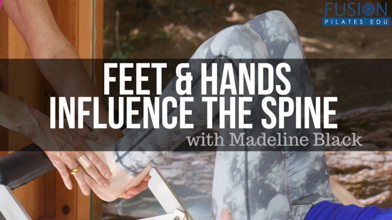 Feet & Hands Influence the Spine
