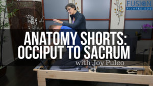 <   Anatomy Shorts: Occiput to Sacrum