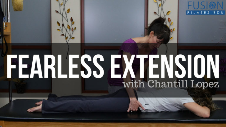 <   Fearless Extension