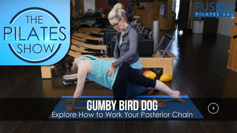 Explore How to Work Your Posterior Chain