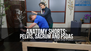 <  Anatomy Shorts: Pelvis, Sacrum and Psoas