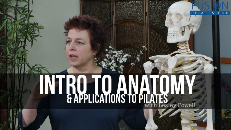 <  Anatomy Through the Senses: An Introduction