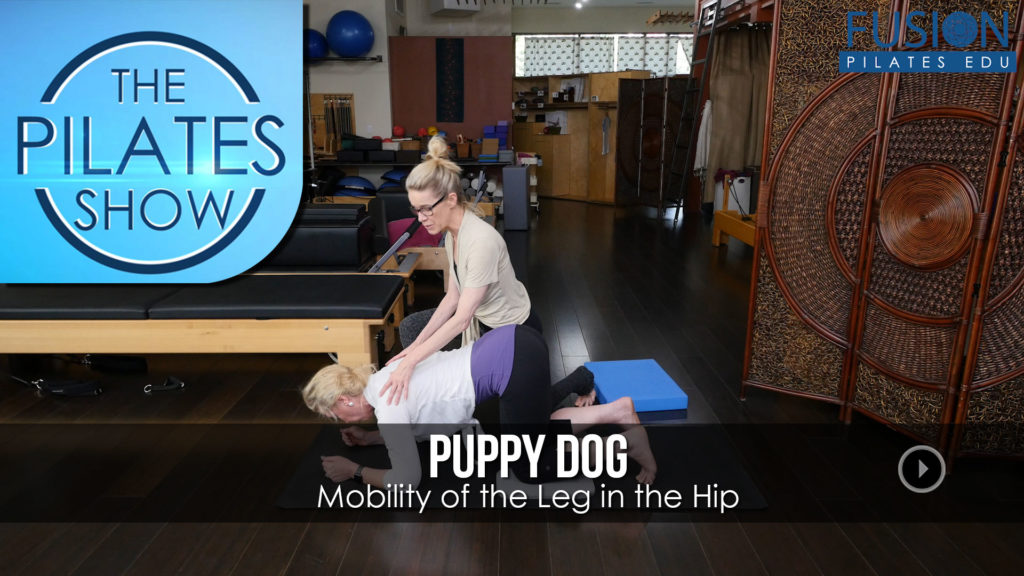 Mobility of the Leg in the Hip