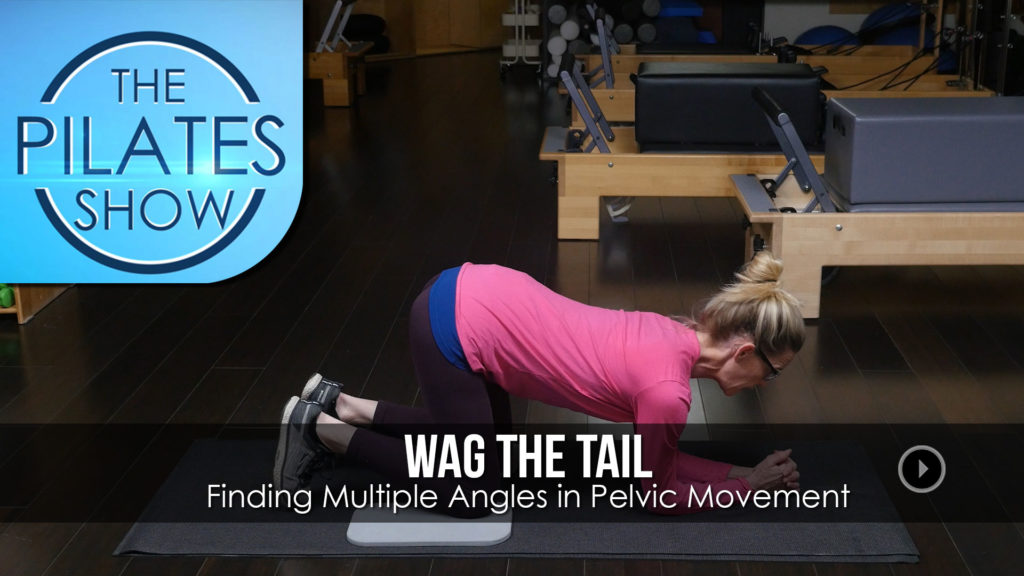 Finding Multiple Angles in Pelvic Movement