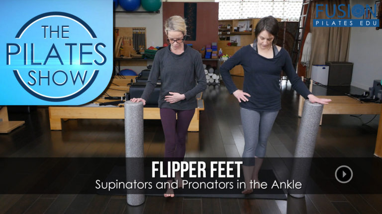 Supinators and Pronators in the Ankle