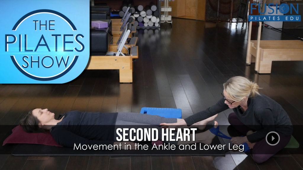 Movement in the Ankle and Lower Leg