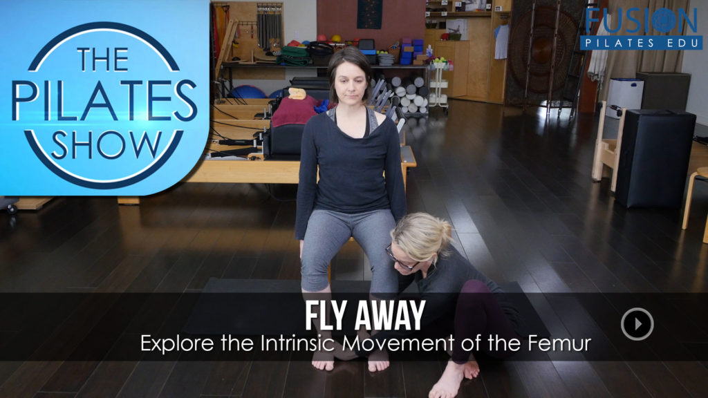 Explore the Intrinsic Movement of the Femur