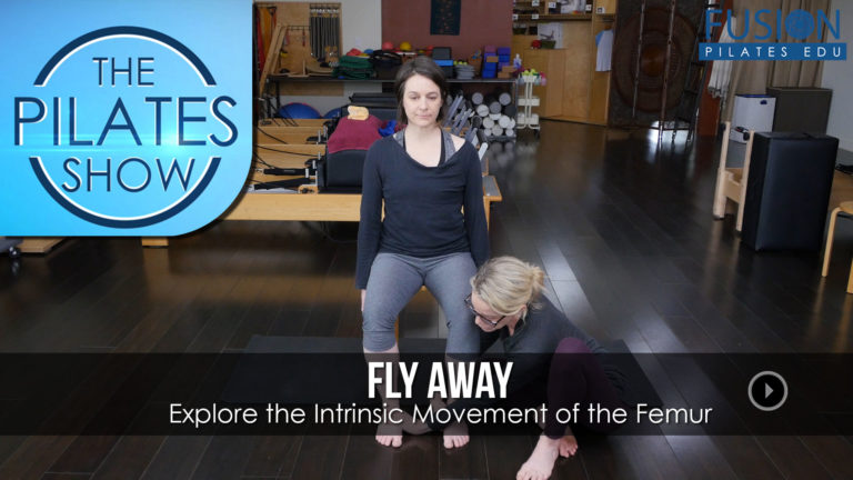 Explore the Intrinsic Movement of the Femur