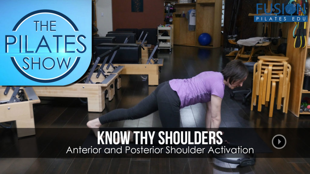 Know thy shoulders	Anterior and Posterior Shoulder Activation