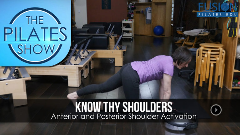 Know thy shoulders	Anterior and Posterior Shoulder Activation