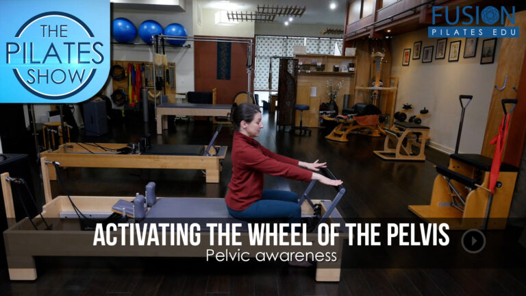 Activating The Wheel Of The Pelvis: Pelvic awareness
