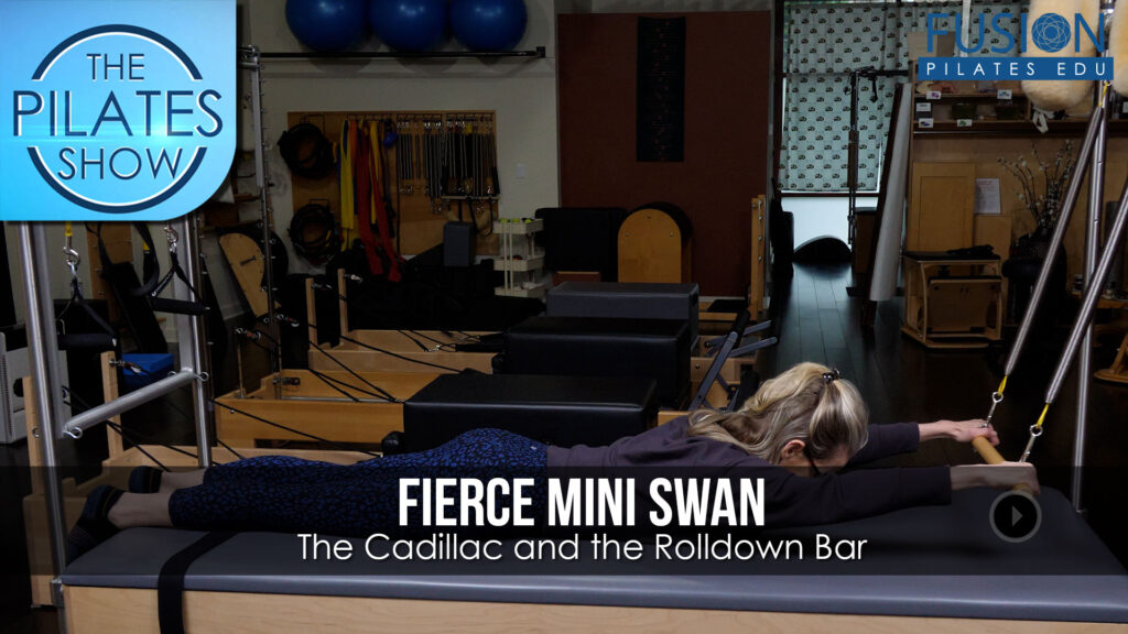 Fierce Mini Swan: The Cadillac and the Rolldown Bar