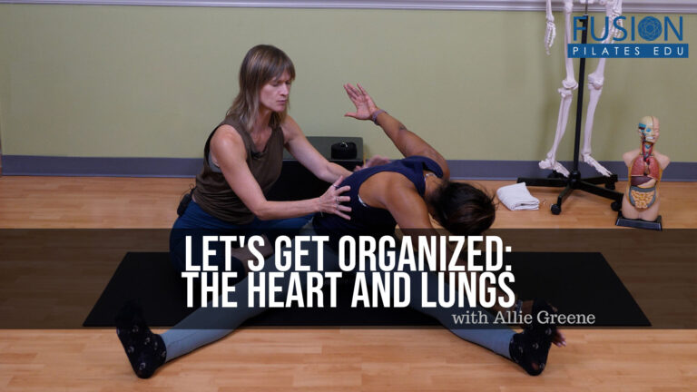 Let's Get Organized: The Heart and Lungs