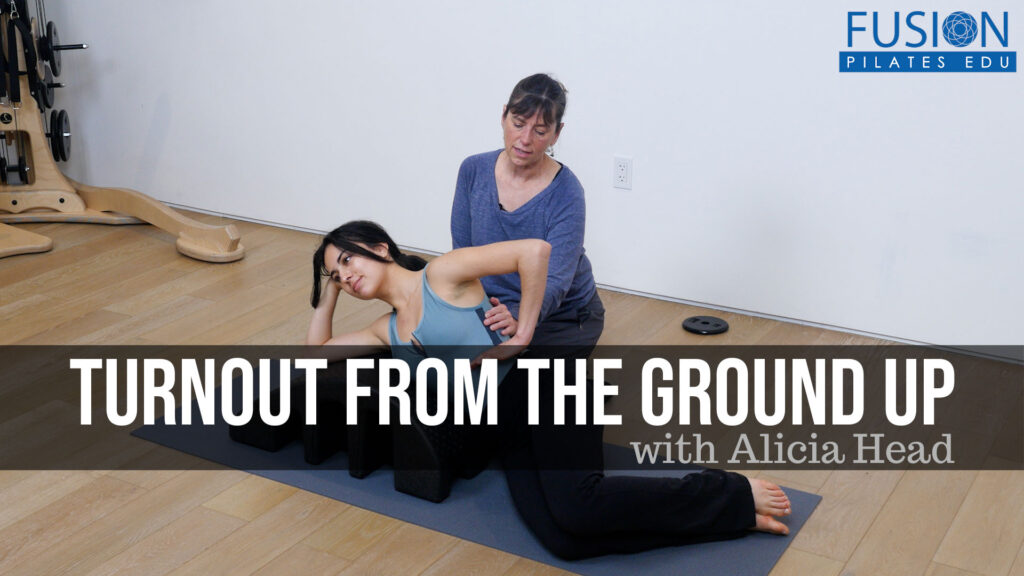 Turnout from the Ground Up by Alicia Head LAUNCHED! – Discounts for a Limited Time!