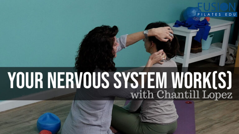 Your Nervous System WORK(s)