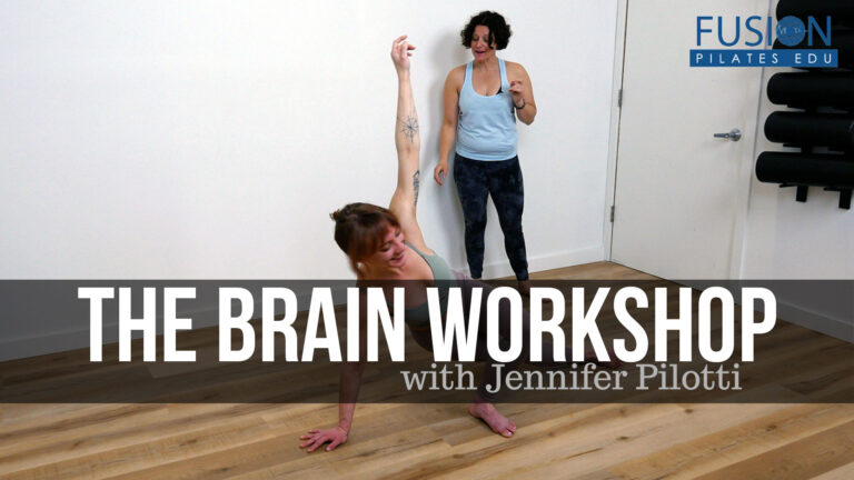 The Brain Workshop