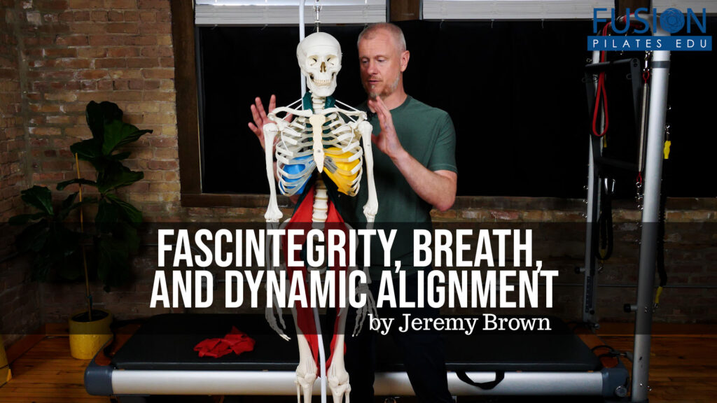 LAUNCHED! Fascintegrity, Breath, and Dynamic Alignment by Jeremy Brown