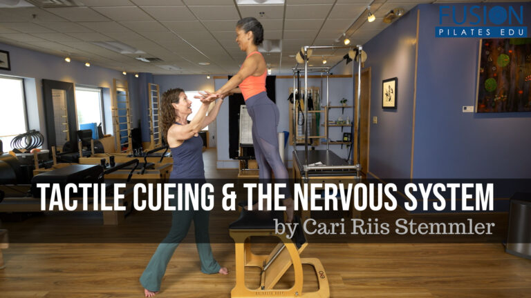 EARLY ACCESS FOR MEMBERS! Tactile Cueing & the Nervous System by Cari Riis Stemmler- Discounts for a Limited Time!